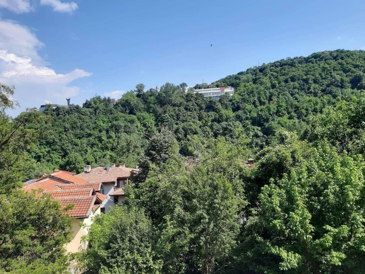 Tsarevets Apartament-大特尔诺沃 外观 照片